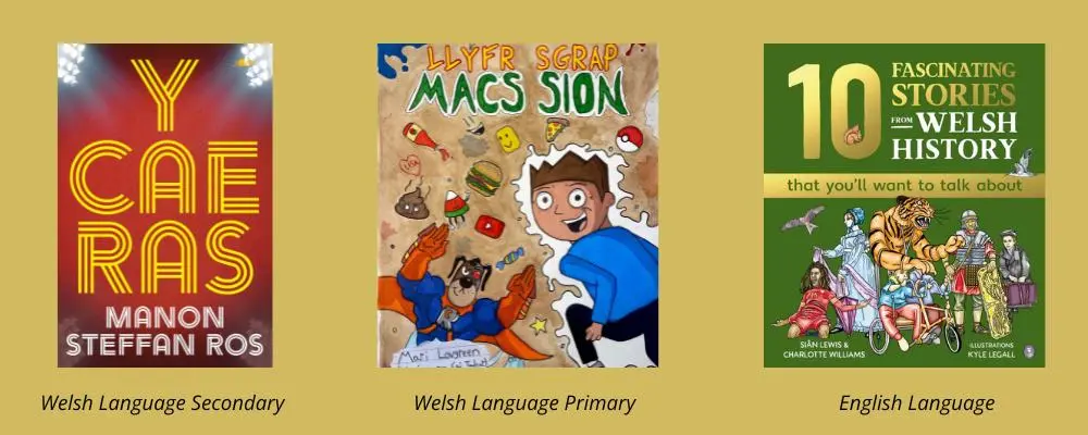 Cover shots of the three Readers' Choice winners for the Tir na n-Og Awards 2026