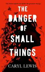 Cover shot of The Danger of Small Things, winner of The Children's Wainwright Prize for Fiction